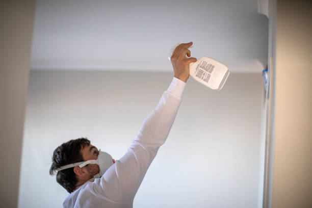 Certified Mold Removal in Pepper Pike, OH